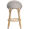 Tobias Outdoor Rattan and Metal Low Back Counter stool, Beige and White - Outdoor Home - 4