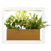 Smart Growframe, Matte White - Growhouses - 1 - thumbnail