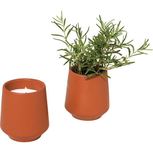 Rooted Candle, Rosemary