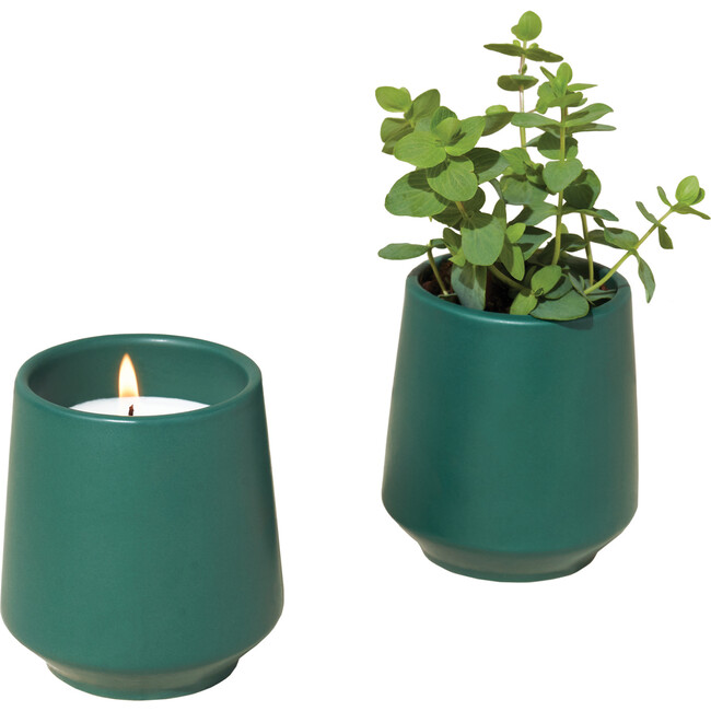 Rooted Candle, Thyme