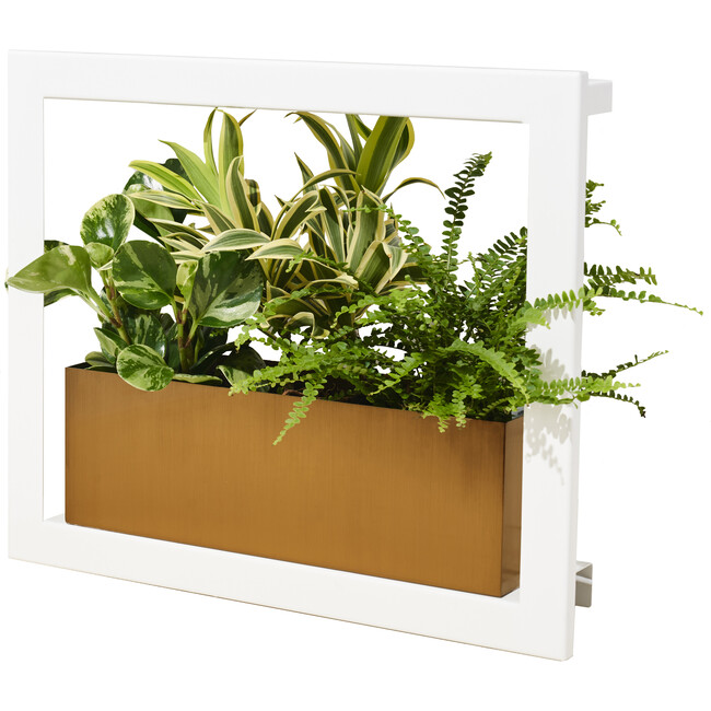 Smart Growframe, Matte White - Growhouses - 2