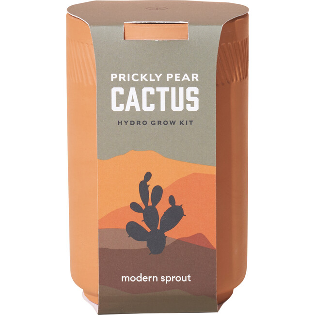 Terracotta Kit, Cactus - Planting Kits - 1