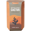 Terracotta Kit, Cactus - Planting Kits - 1 - thumbnail