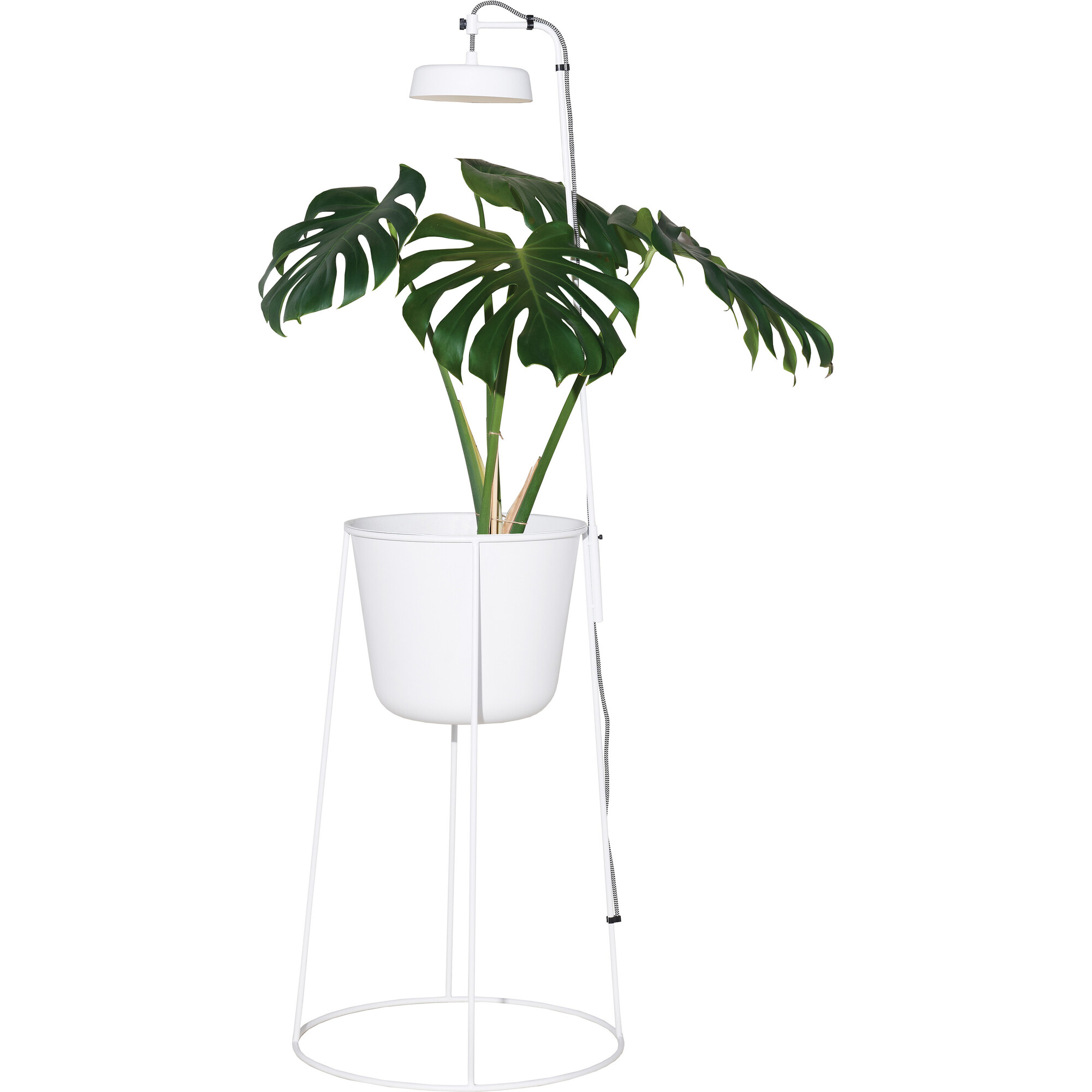 Uplift Planter, Matte White - Planters - 1