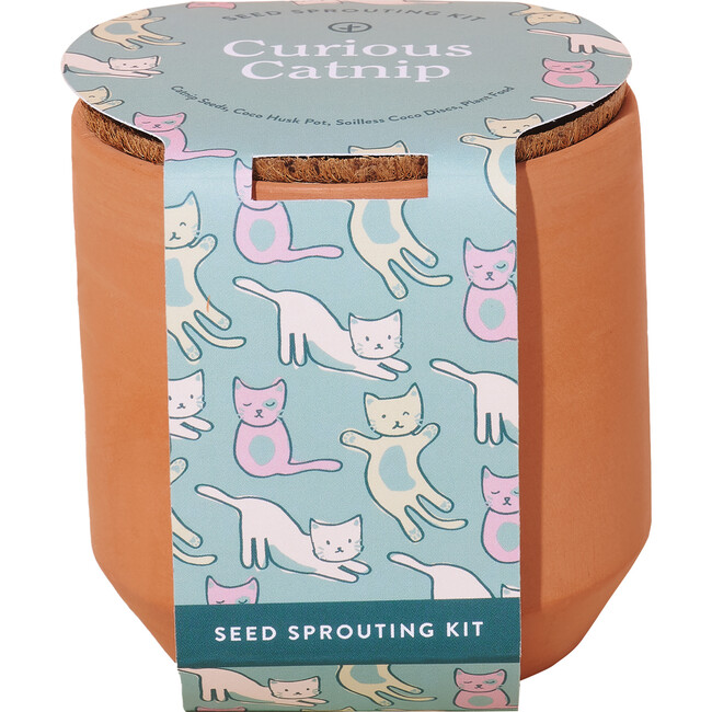 Tiny Terracotta Kit, Curious Catnip