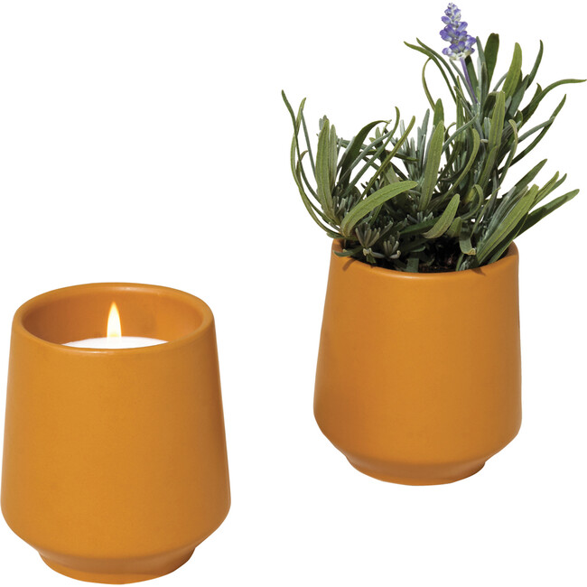 Rooted Candle, Lavender