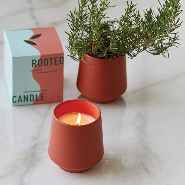 Rooted Candle, Rosemary - Planting Kits - 2