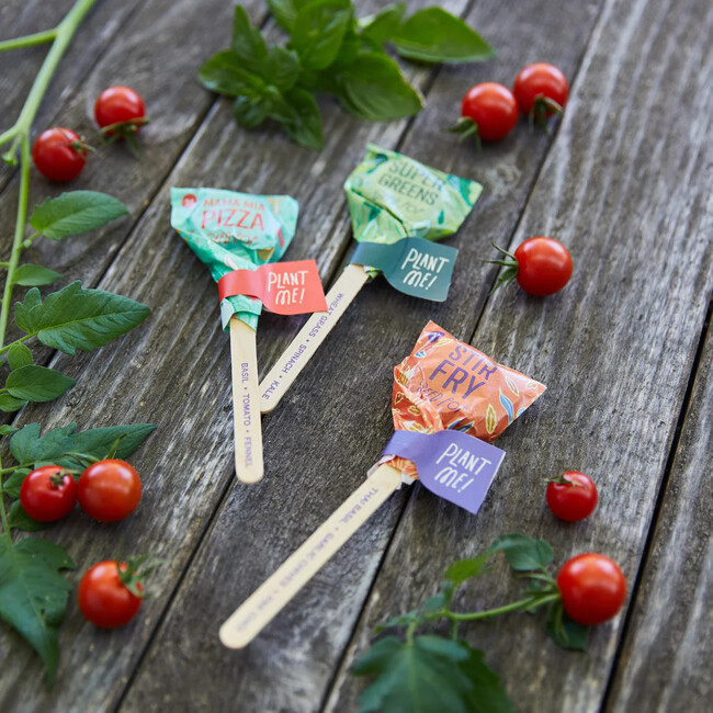 Seed Lollipop Set of 3, Culinary - Seed Kits - 2