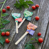Seed Lollipop Set of 3, Culinary - Seed Kits - 2
