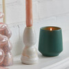 Rooted Candle, Thyme - Planting Kits - 2