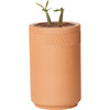 Terracotta Kit, Aloe - Planting Kits - 3