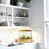 Smart Growhouse, Brass - Growhouses - 3