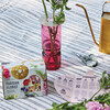 Travel Trio Garden Kit, Parisian Flower Shop - Planting Kits - 3