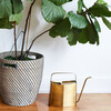 Watering Can, Brass - Watering Cans - 3