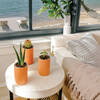 Terracotta Kit, Cactus - Planting Kits - 2