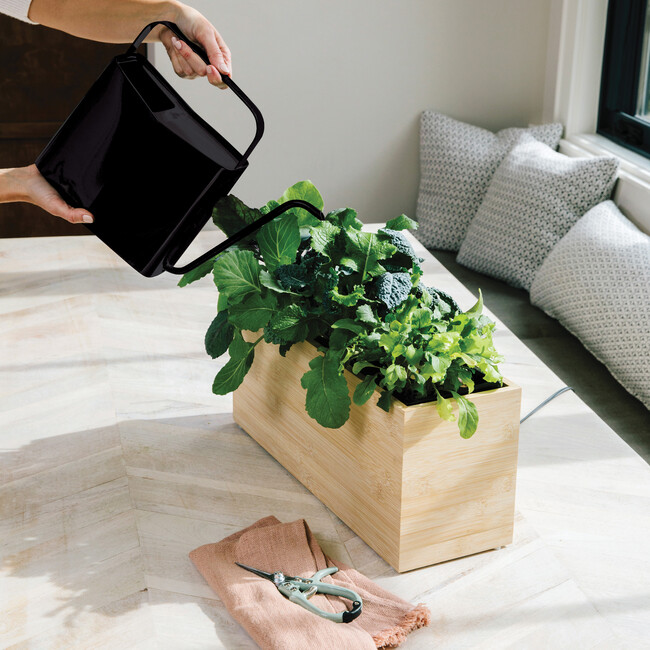 Watering Can, Matte Black - Watering Cans - 2