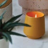 Rooted Candle, Lavender - Planting Kits - 2