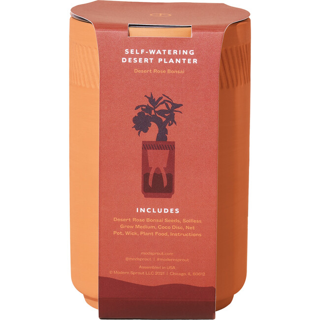 Terracotta Kit, Aloe - Planting Kits - 4