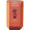 Terracotta Kit, Aloe - Planting Kits - 4