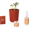 Shine Bright Radiant Positivity Kit - Planting Kits - 3