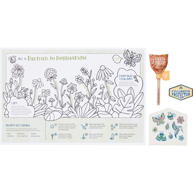 Pollinator Protector Activity Kit - Planting Kits - 2