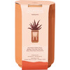 Terracotta Kit, Bonsai - Planting Kits - 3
