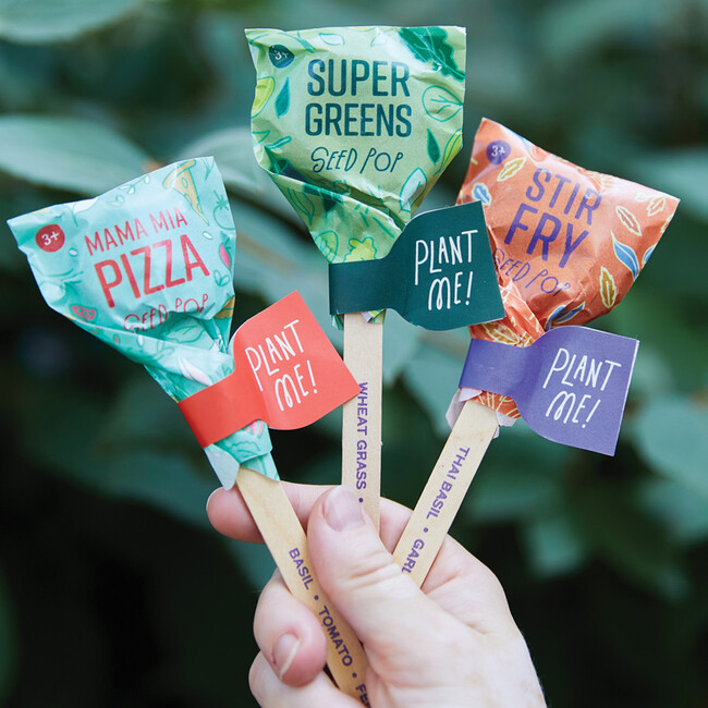 Seed Lollipop Set of 3, Culinary - Seed Kits - 4