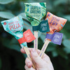 Seed Lollipop Set of 3, Culinary - Seed Kits - 4