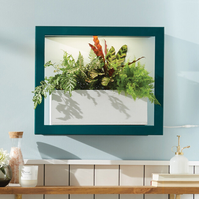 Plant Mister, White Glass & Brass - Misters - 2