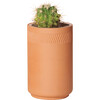 Terracotta Kit, Cactus - Planting Kits - 3