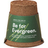 One-For-One Tree Kit, Loblolly Pine - Planting Kits - 1 - thumbnail