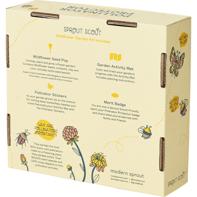 Pollinator Protector Activity Kit - Planting Kits - 3