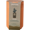 Terracotta Kit, Cactus - Planting Kits - 4