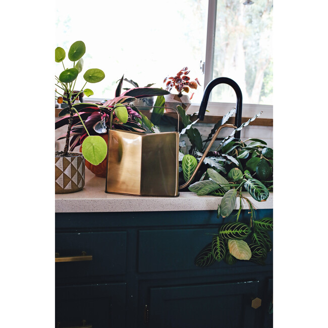 Watering Can, Brass - Watering Cans - 6