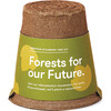 One-For-One Tree Kit, American Sycamore - Planting Kits - 1 - thumbnail