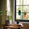 Plant Mister, Black Glass & Brass - Misters - 2