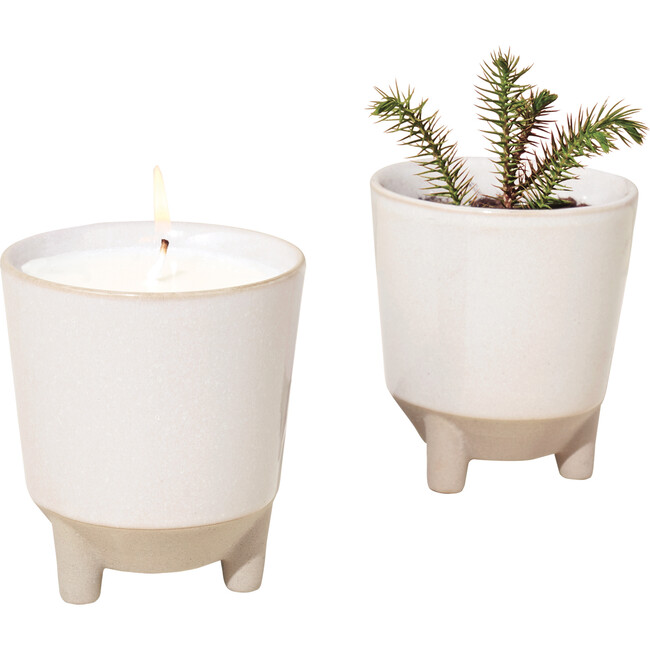 Glow & Grow Frosted Forest Candle + Spruce Grow Kit