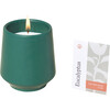 Rooted Candle, Thyme - Planting Kits - 6