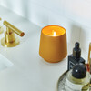 Rooted Candle, Lavender - Planting Kits - 4