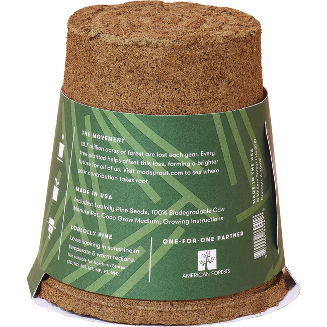 One-For-One Tree Kit, Loblolly Pine - Planting Kits - 3