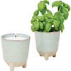 Glow & Grow Herb Garden Candle + Basil Grow Kit - Planting Kits - 1 - thumbnail