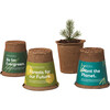 One-For-One Tree Kit, American Sycamore - Planting Kits - 2