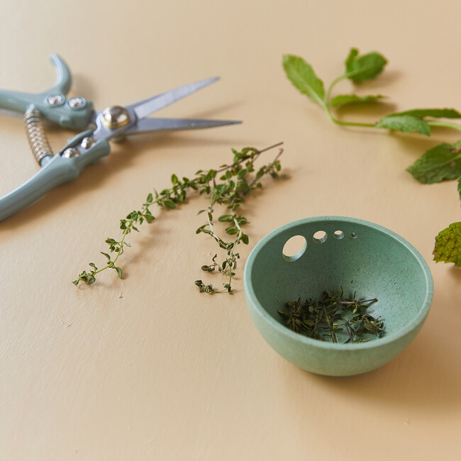 Herb Pull & Pinch Dish - Accents - 3