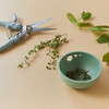 Herb Pull & Pinch Dish - Accents - 3 - thumbnail