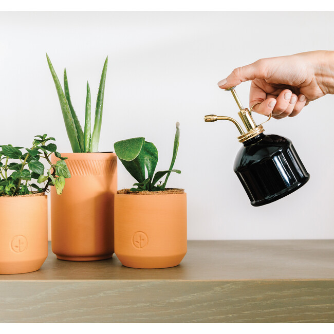 Plant Mister, Black Glass & Brass - Misters - 3
