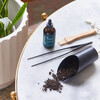 Plant Parent Botanical Gift Box Set - Planting Kits - 4