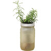 Garden Jar, Rosemary - Planting Kits - 1 - thumbnail