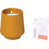 Rooted Candle, Lavender - Planting Kits - 5
