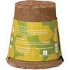 One-For-One Tree Kit, American Sycamore - Planting Kits - 3