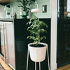 Uplift Planter, Matte White - Planters - 5